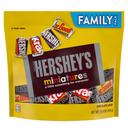 Miniatures Assorted Chocolate Candy 15.9 Ounce