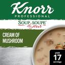 Soup Du Jour Cream of Mushroom