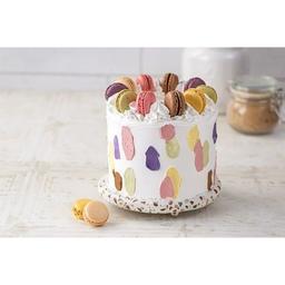 Product thumb gallery 804799121