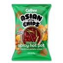 Chinese-Style Spicy Hot Pot Potato Chips