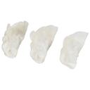 Chicken and Vegetable Gyoza Dumplings