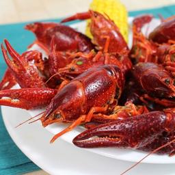 Product thumb gallery 737286585