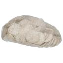 Jimmy Dean Mild Sausage Patties, 1.5 ounce -- 107 per case