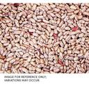 Commodity Beans Triple Clean Pinto Bean, 20 Pound Box