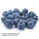 Commodity Fruit Whole Cultivated Blueberry, 30 Pound.