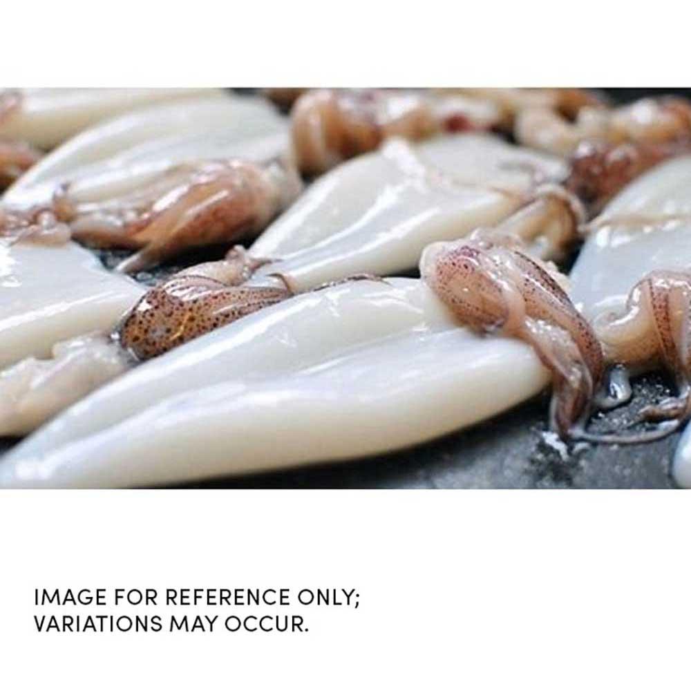 Product gallery 515775112