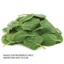 Commodity Canned Fruit and Vegetables Spinach Leaf, 10 Pound -- 6 per case