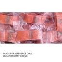 Frozen Seafood Skinless Chum Salmon Portion, 10 Pound.