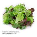 Commodity Canned Fruit and Vegetables Mixed Greens, 10 Pound -- 6 per case