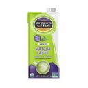 Organic Green Tea Matcha Tea Concentrate