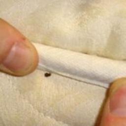 Product thumb gallery 344524821