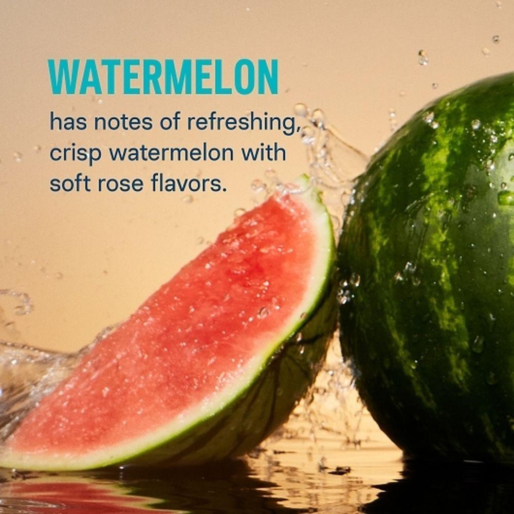 Product gallery 116248610