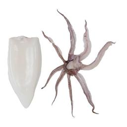 Product thumb gallery 631636098