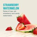 Sugar Free Strawberry Watermelon Hydration Multiplier Electrolyte Drink Mix