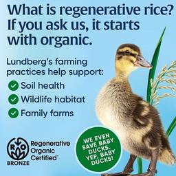 Product thumb gallery 808624194