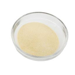 Product thumb gallery 800187771