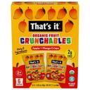 Crunchables Organic Apple and Mango Crisps