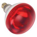 Winco 250W Red Bulb for EHL-2 Heat Lamp Set -- 12 per case.