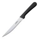 Winco Pointed Tip Steak Knife with Plastic Handle, 5 inch Blade -- 12 per case.