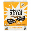 Citrus Grove Laundry Detergent Sheets