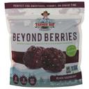 Beyond Berries Black Raspberry Fused with Dates
