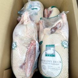 Product thumb gallery 853936752