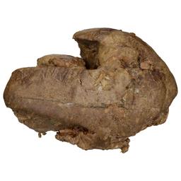 Product thumb gallery 492716462