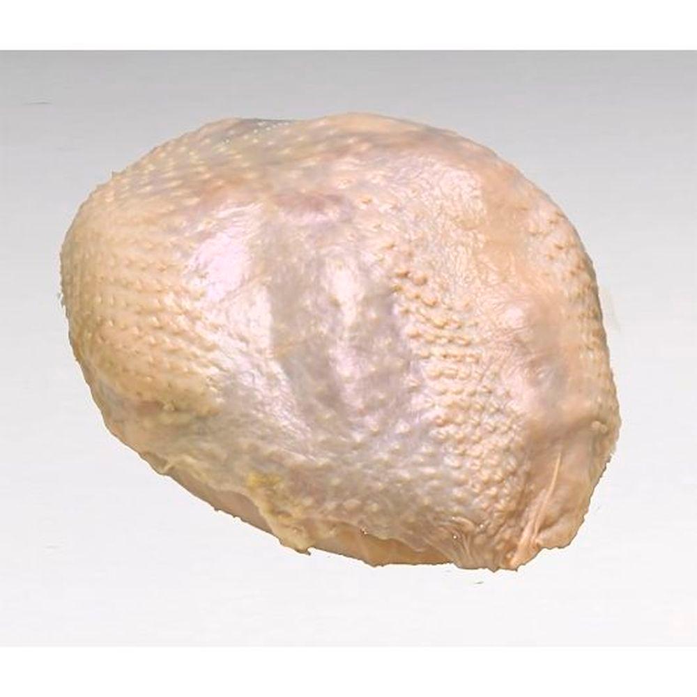 Product gallery 794648315