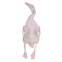 Product thumb gallery 946340215