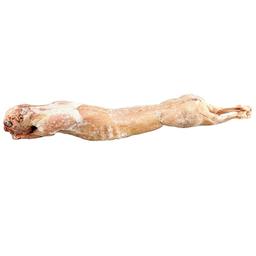 Product thumb gallery 402543937