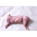 Whole Domestic Fryers Rabbit