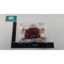 Grass Fed Tenderloin Steak