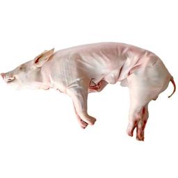 Product thumb gallery 968003512