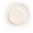 White Porcelain Dinner Plate with Wide Rim 10.5 in