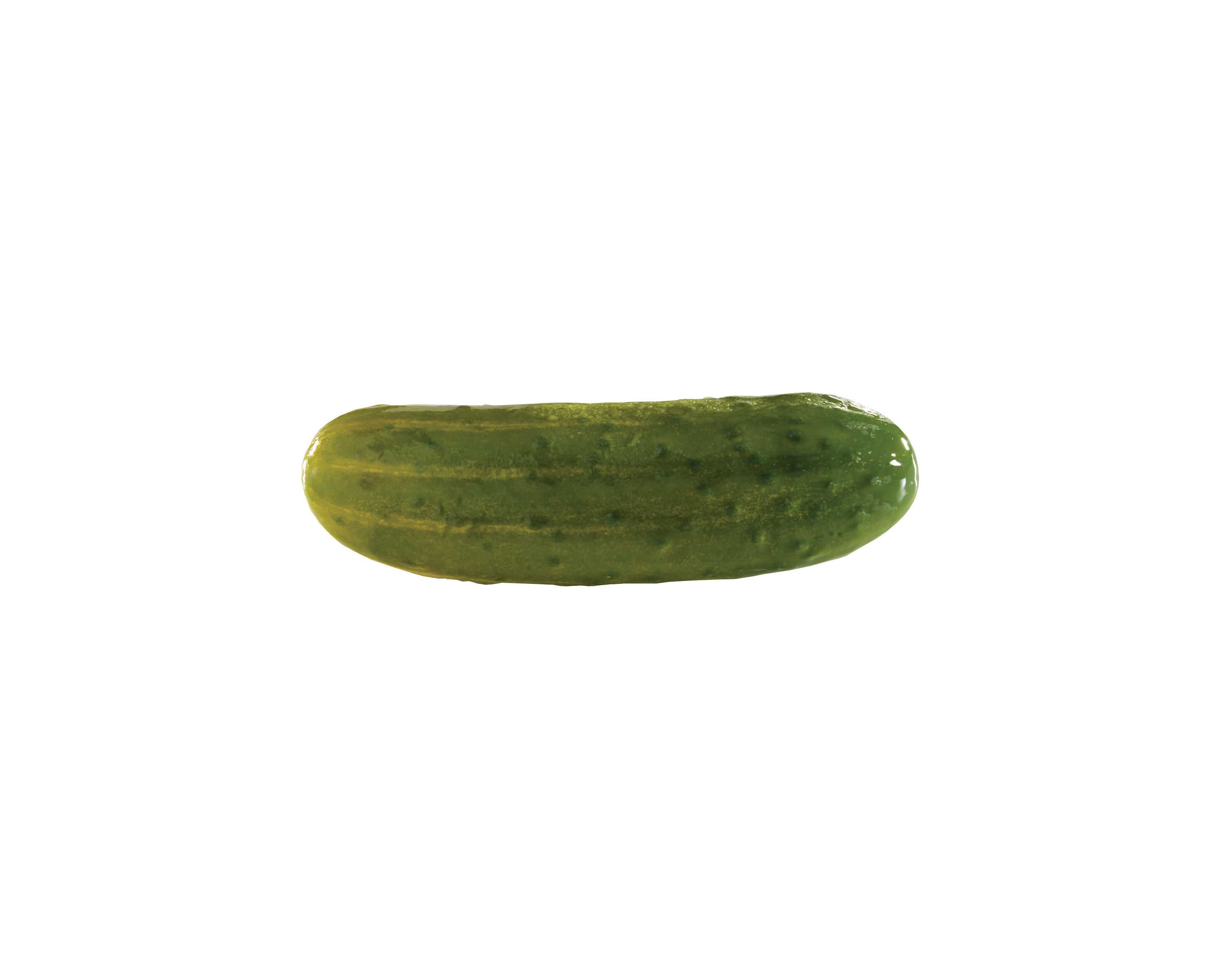 Schwartz's Kosher Whole Dill Pickle 60/70, 5 Gallon