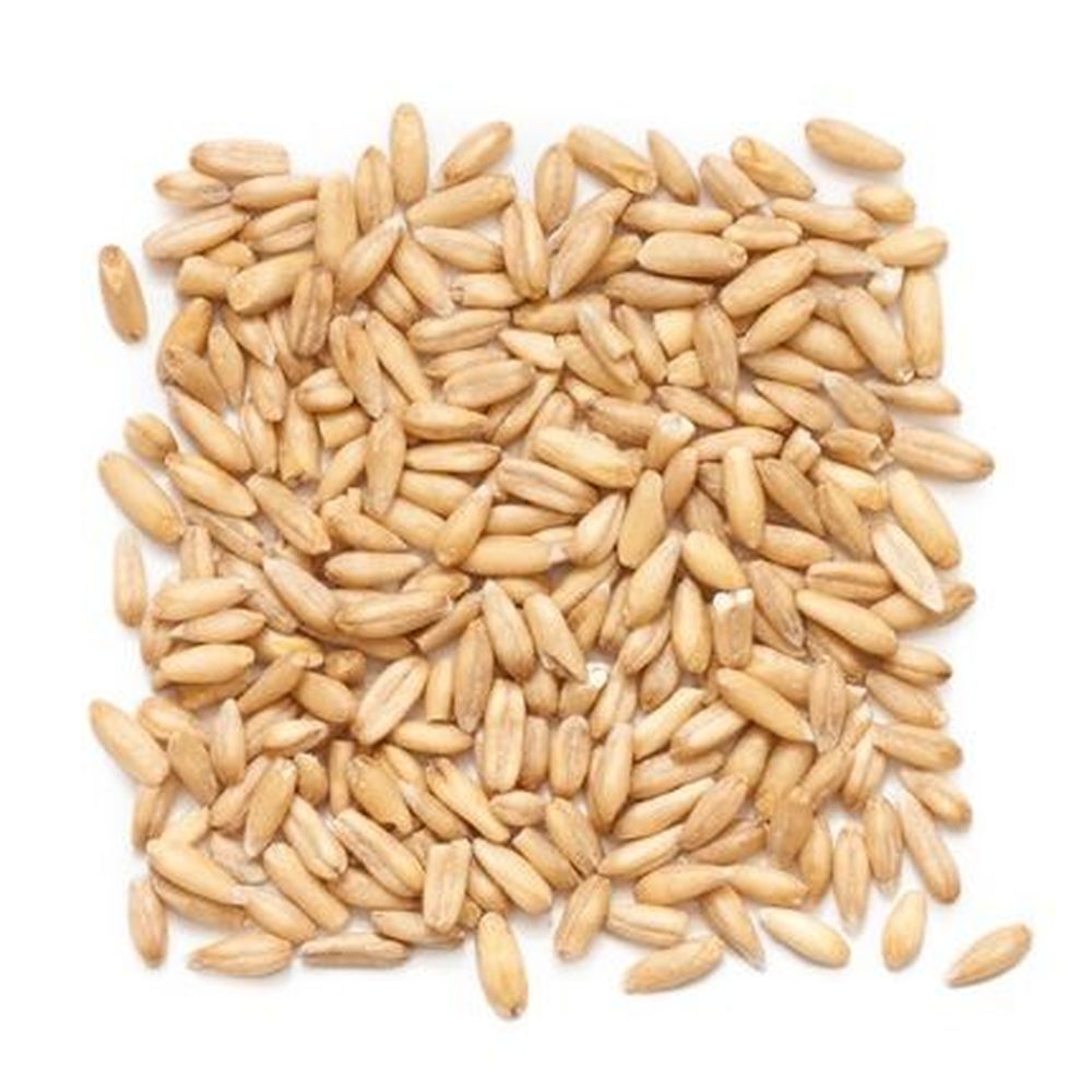 Grain Millers Organic Hulled Oat Groats, 25 Pound