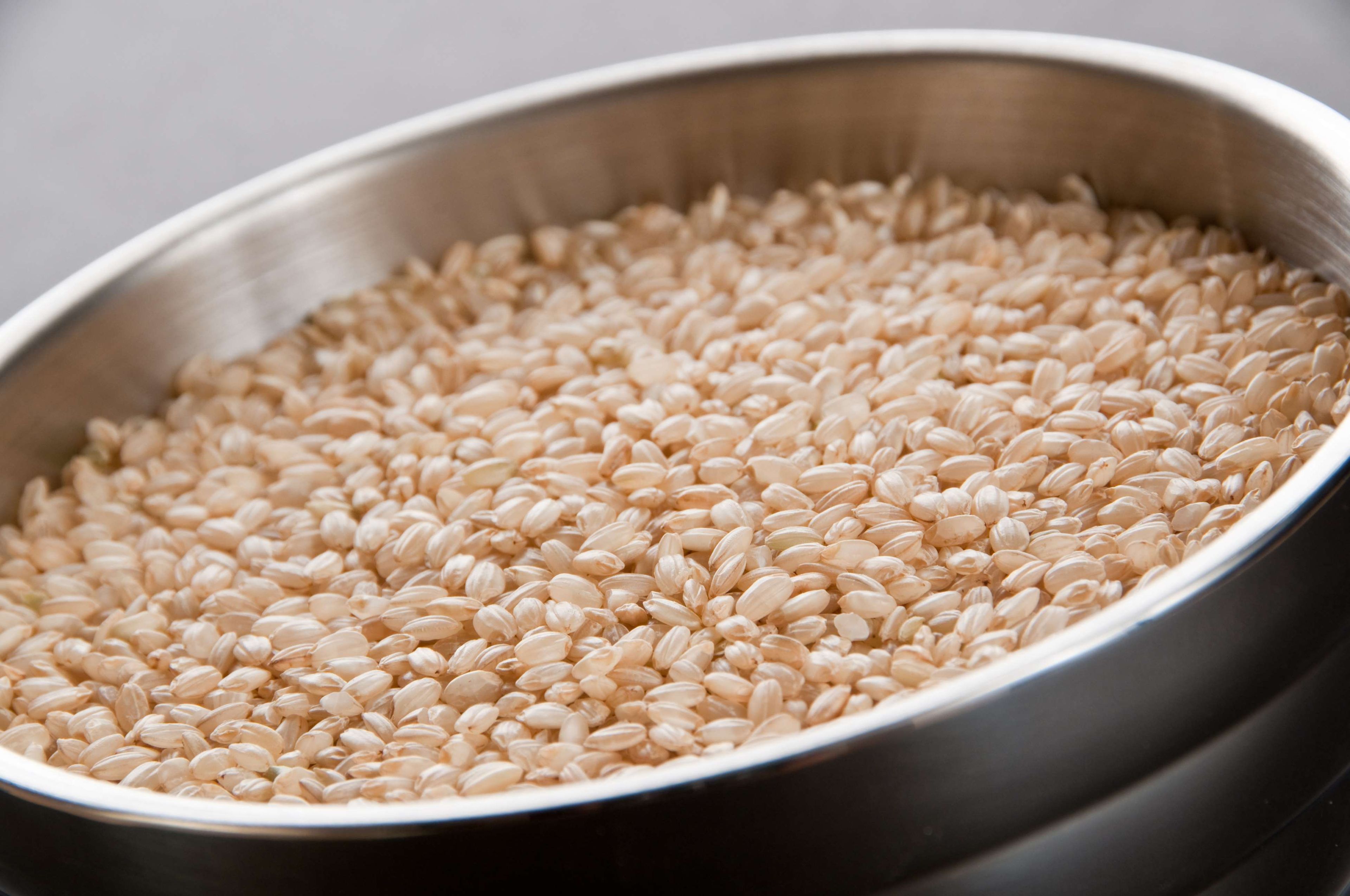 Inharvest Short Grain Brown Rice, 25 Pound