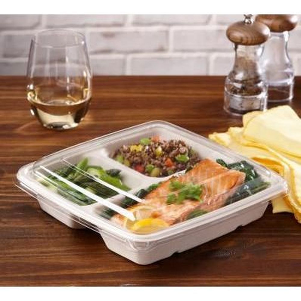 Sabert Clear Flat Lid For Square Pulp Container, 9 X 9 Inch -- 300 Per Case