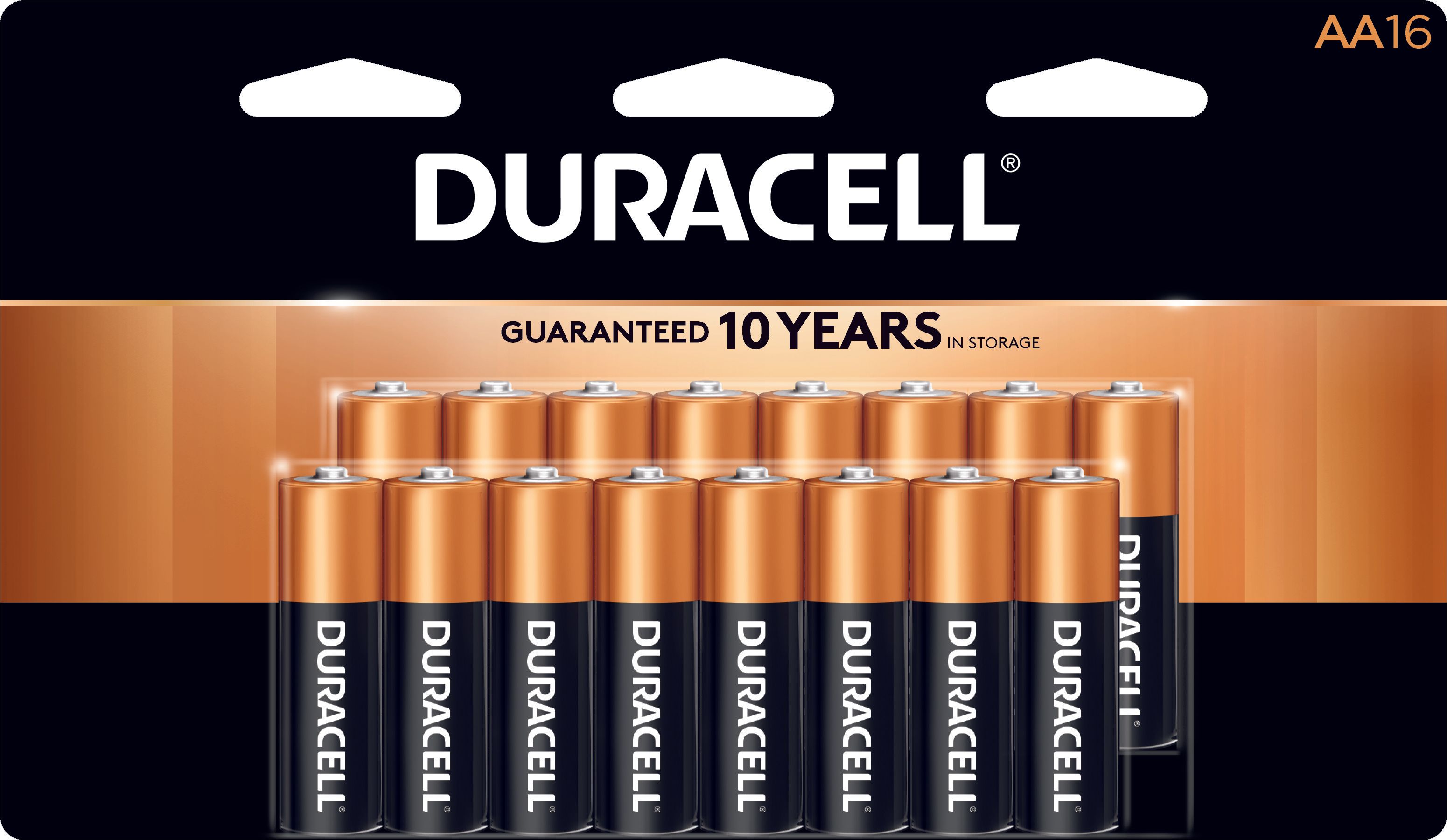 Duracell Aa Alkaline Personal Power Batteries, 16 Count -- 12 Per Case
