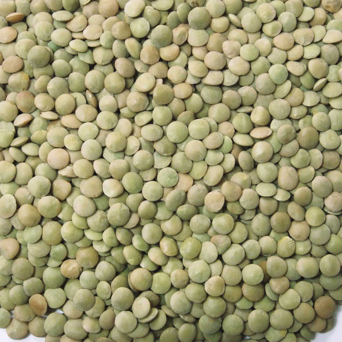 Peak Premium Quality Lentils, 20 Pound