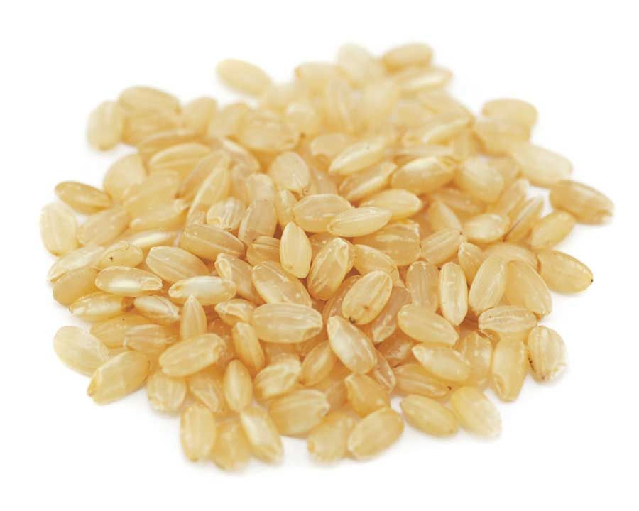 Lundberg Organic Short Grain Brown Rice, 25 Pound
