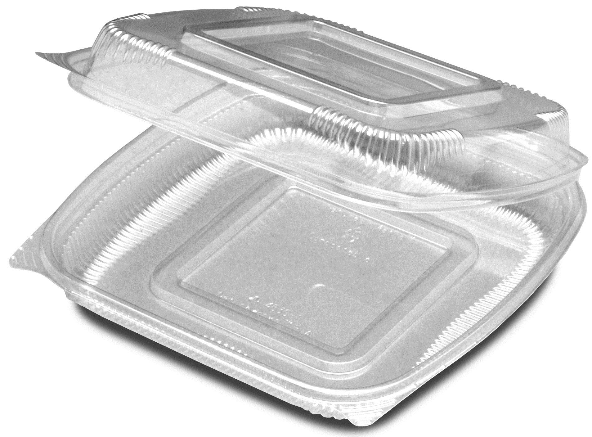 Seeshell Plastic Clear Medium Shallow Hinged Container -- 160 Per Case
