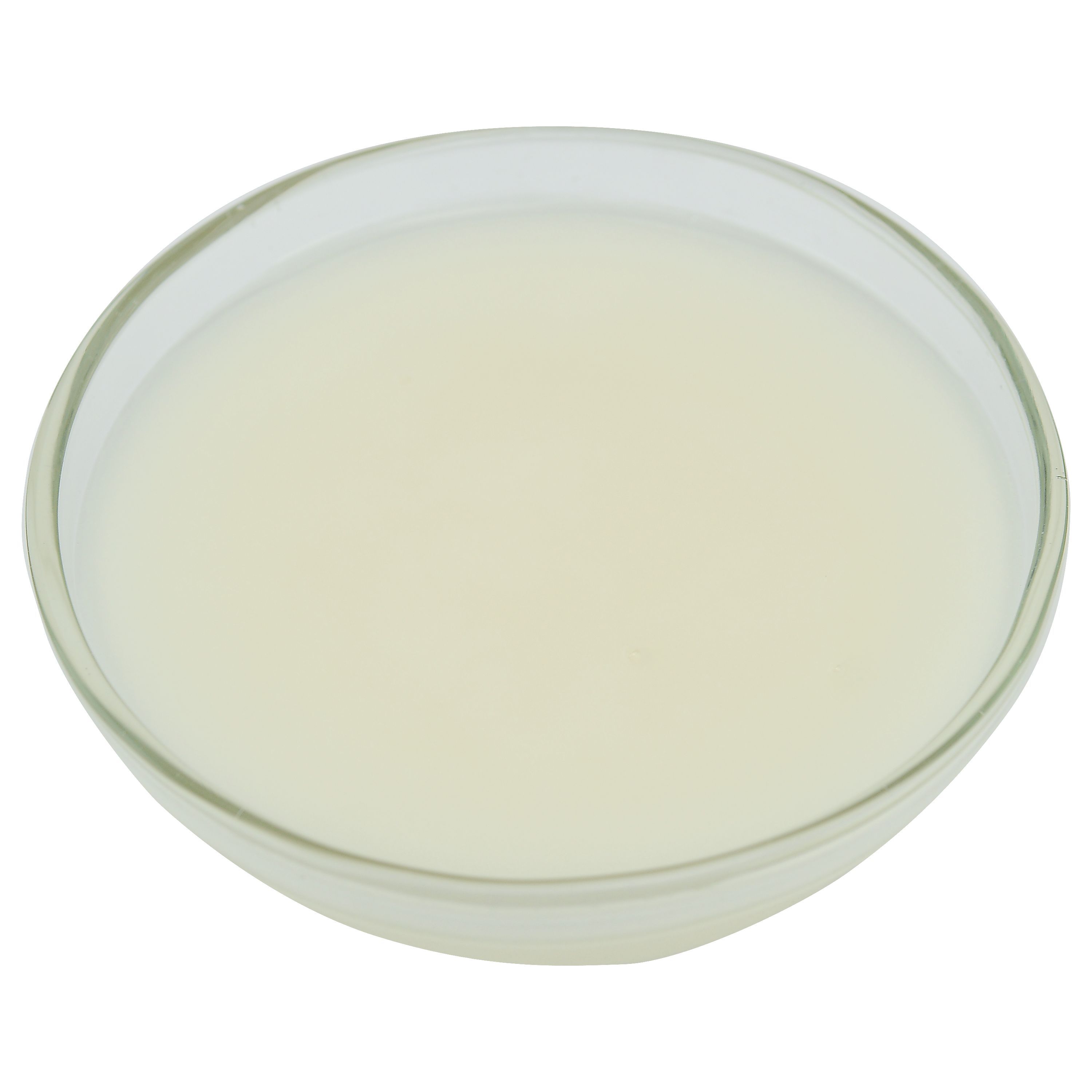 Brill Glaze N Shine, 40 Pound