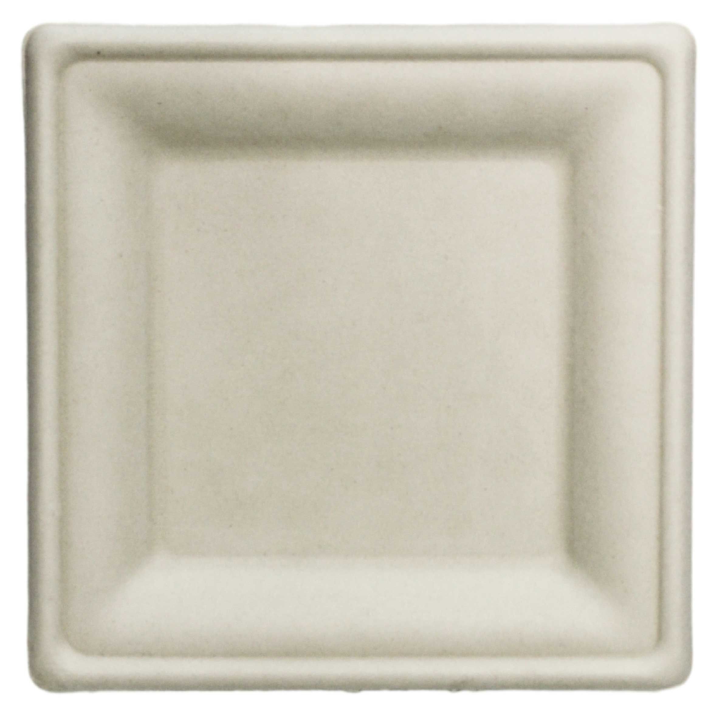 Responsible Products Square Compostable Molded Fiber Plate, 6 X 6 Inch -- 1000 Per Case