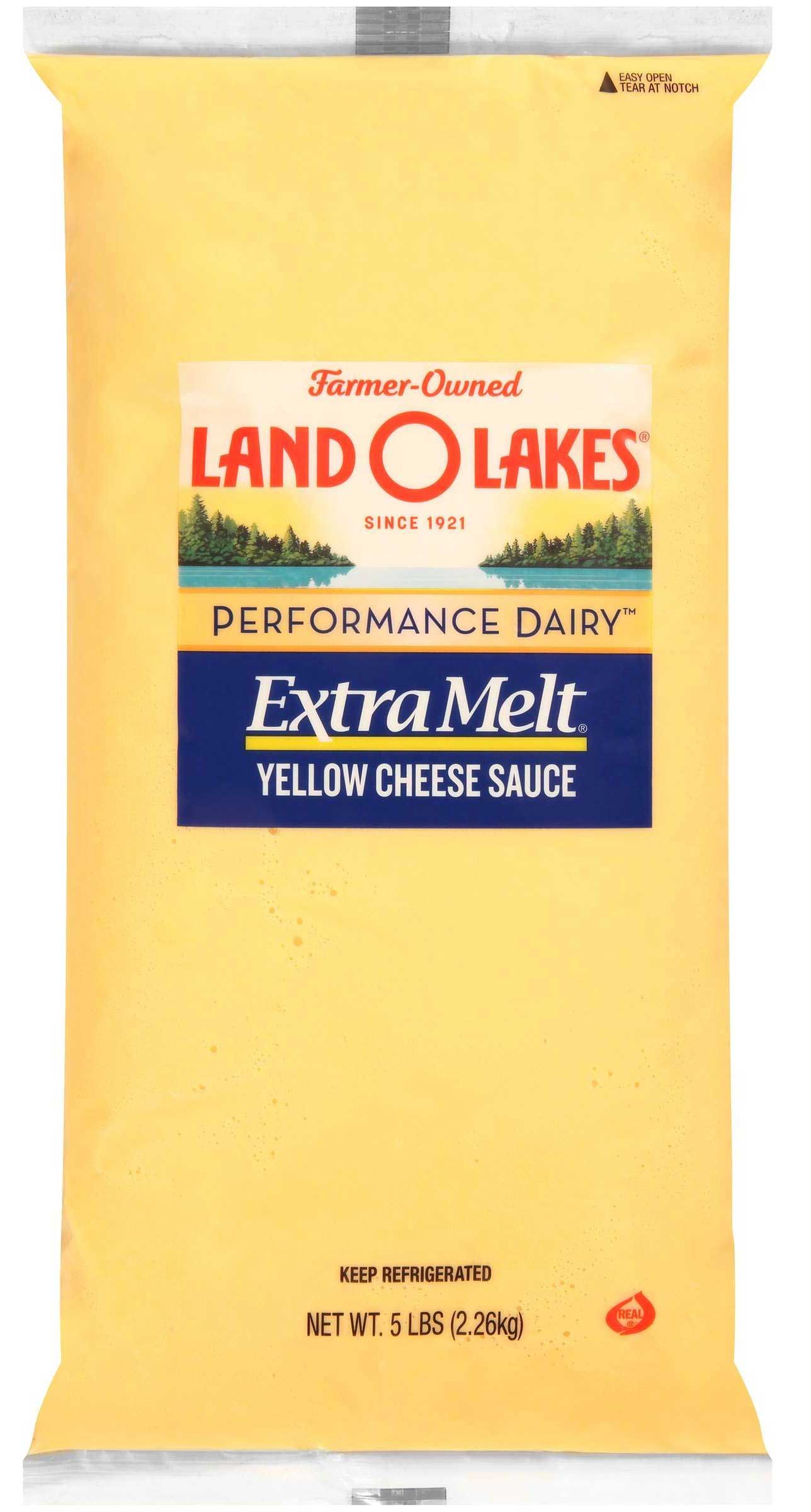 Land O Lakes Extra Melt Yellow Cheese Sauce, 5 Pound -- 6 Per Case