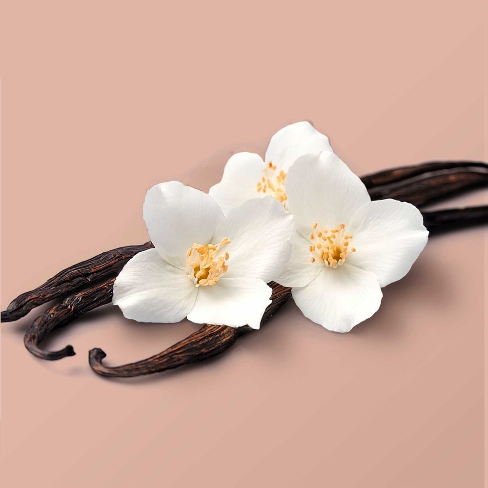Love Beauty & Planet Beloved Warm Vanilla & Coconut Body Cream, 10 Ounce -- 6 Per Case