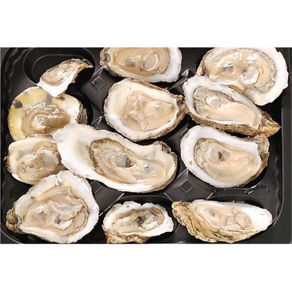 Packer Label Raw Half Shell Oysters -- 12 Per Case
