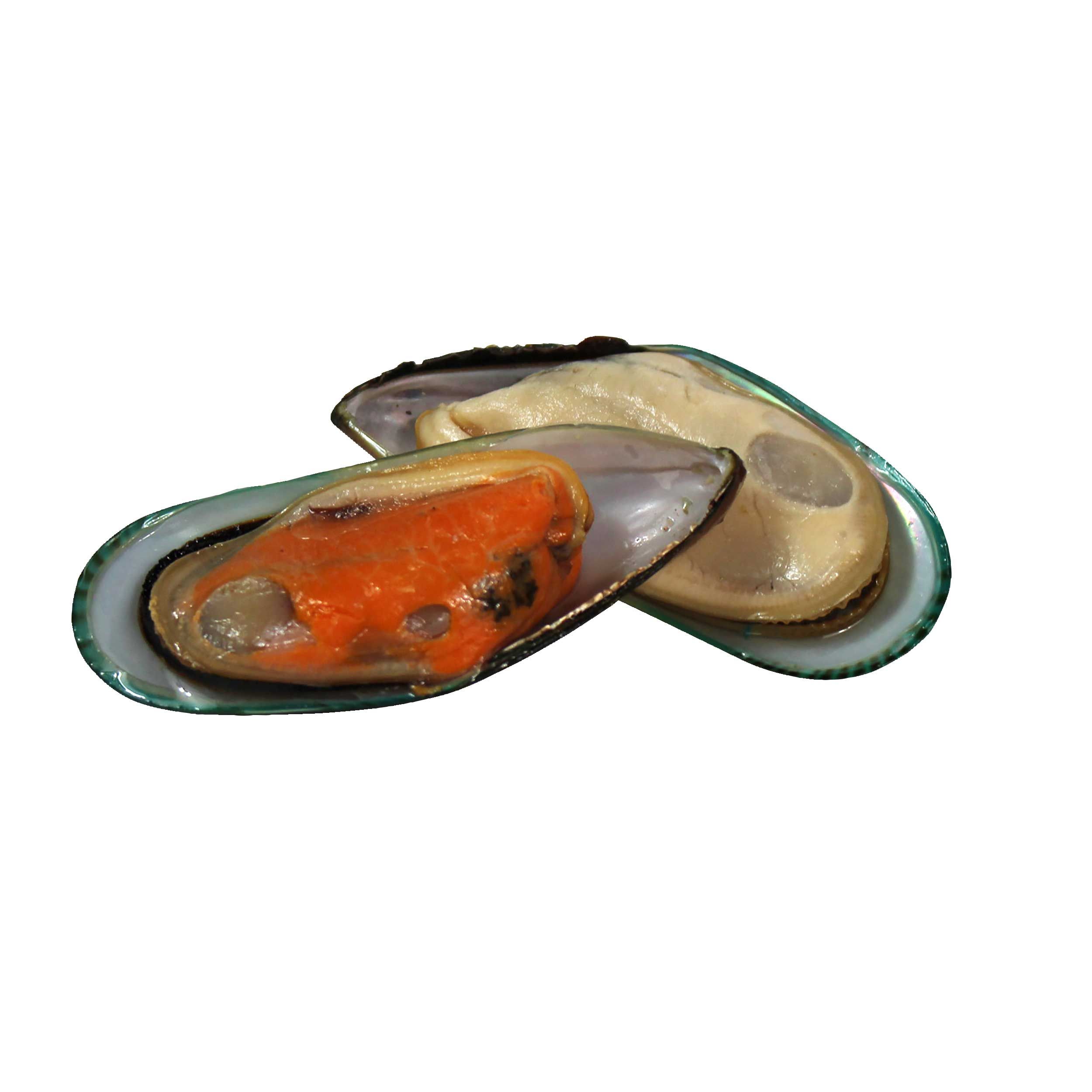 Packers New Zealand 1/2 Shell Mussels, 2 Pound -- 12 Per Case