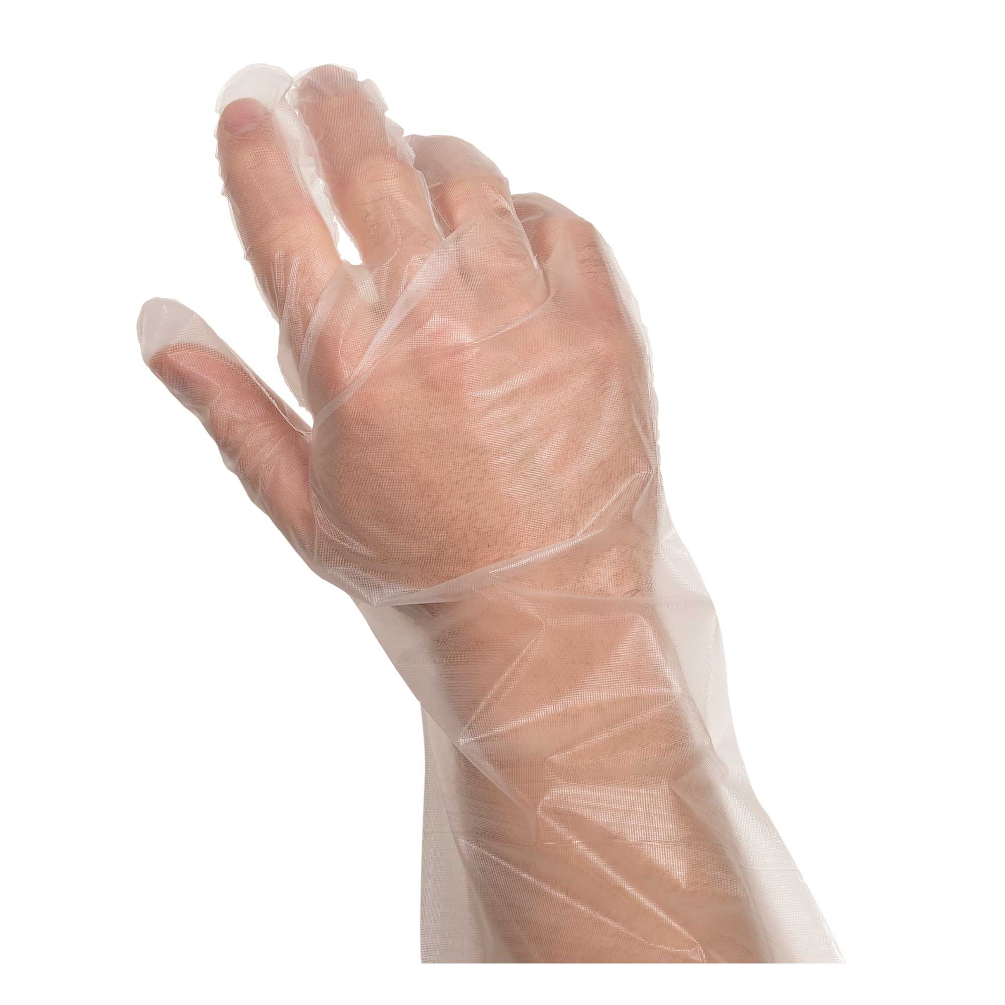 Handgards Poly Disposable Gloves, 250 Count