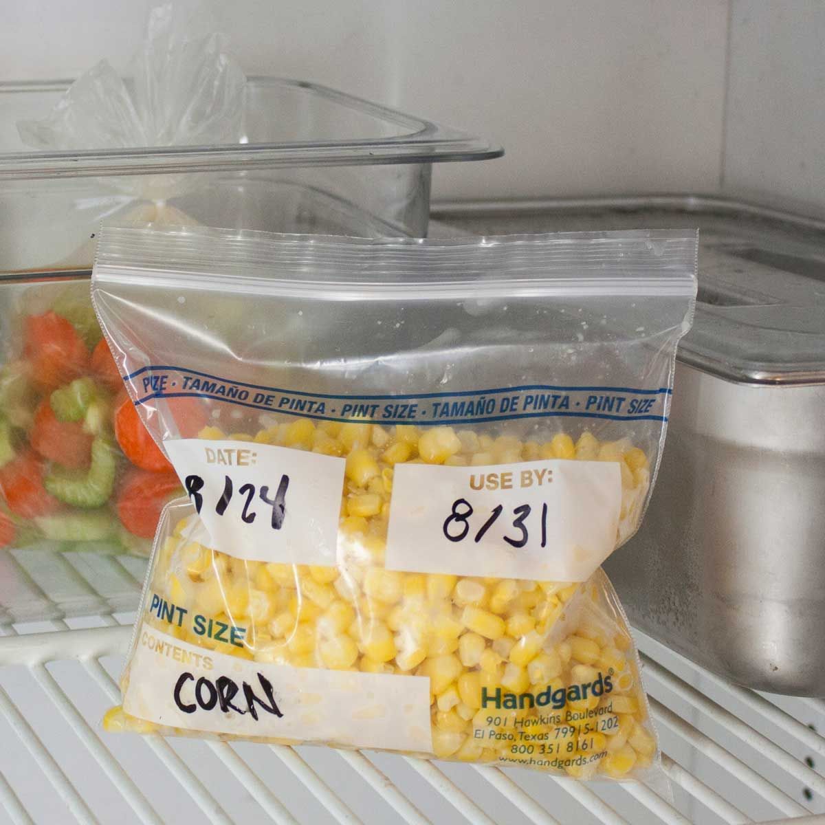 Zipgards Clear Disposable Reclosable Freezer Zipper Bag, 6.5 X 6 Inch -- 500 Per Case